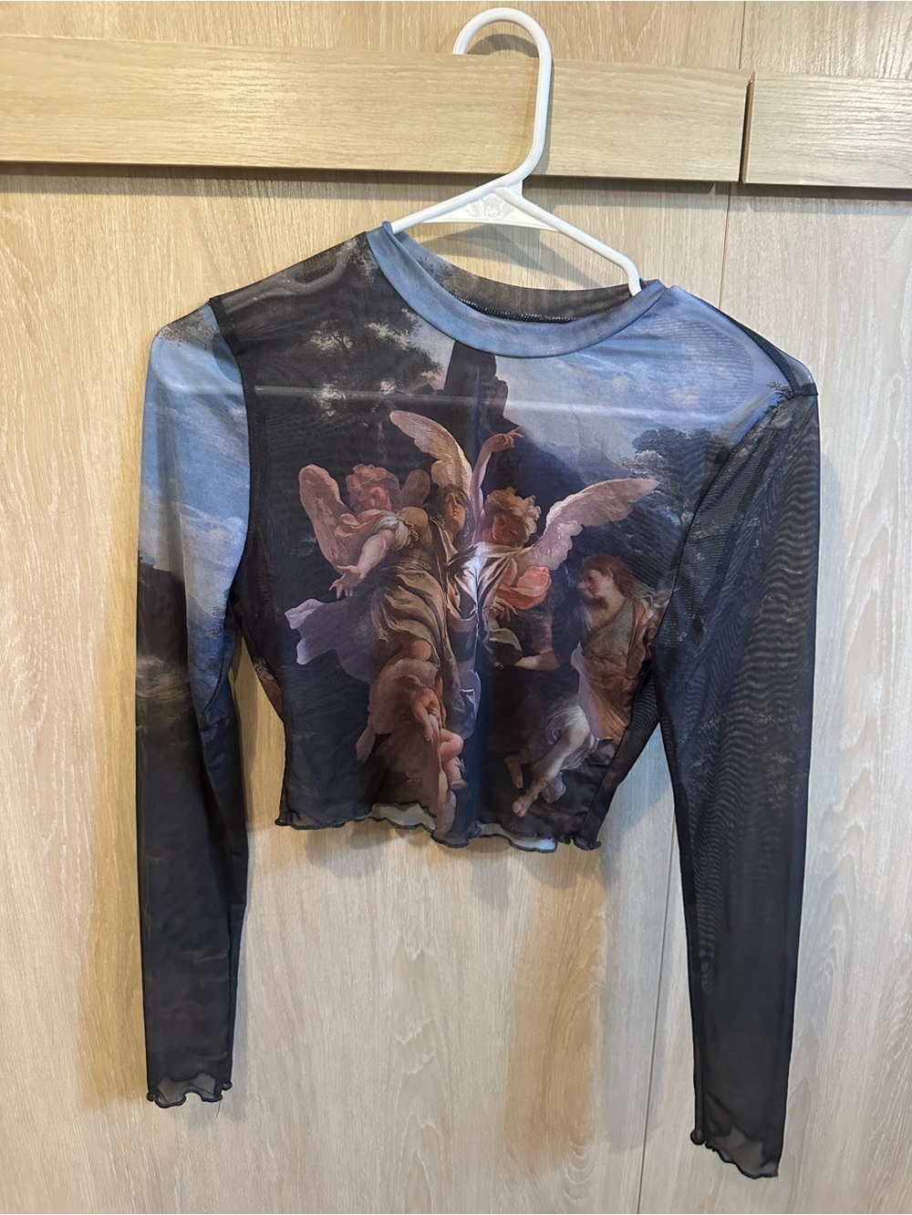 Sheer Angel Print Long Sleeve Crop Top - Black & Sky Blue